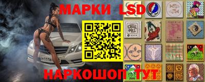 mdpv Заводоуковск